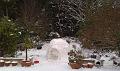 Oxford Igloo